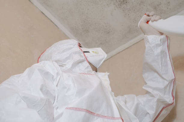 Mold Removal and Inspection in Perryville, MD