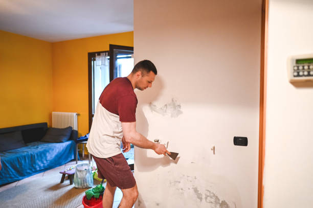 Best Mold Removal Company Near Me  in Perryville, MD